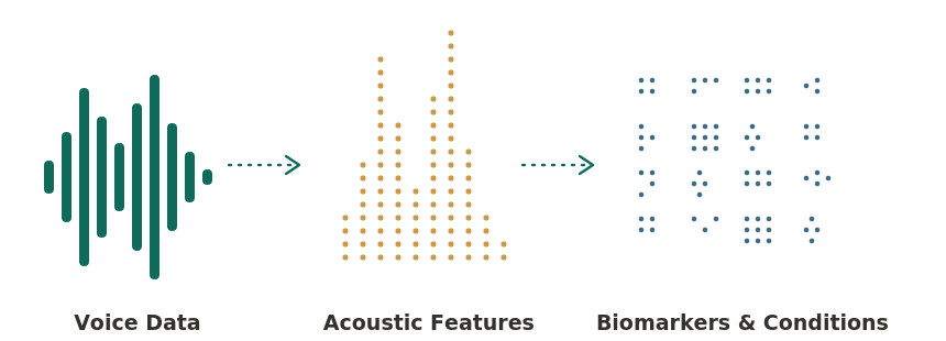 Diagram showing VoiceBit's signal pipeline: voice data as a waveform, transformed into acoustic features, transformed into biomarkers and condition indicators.